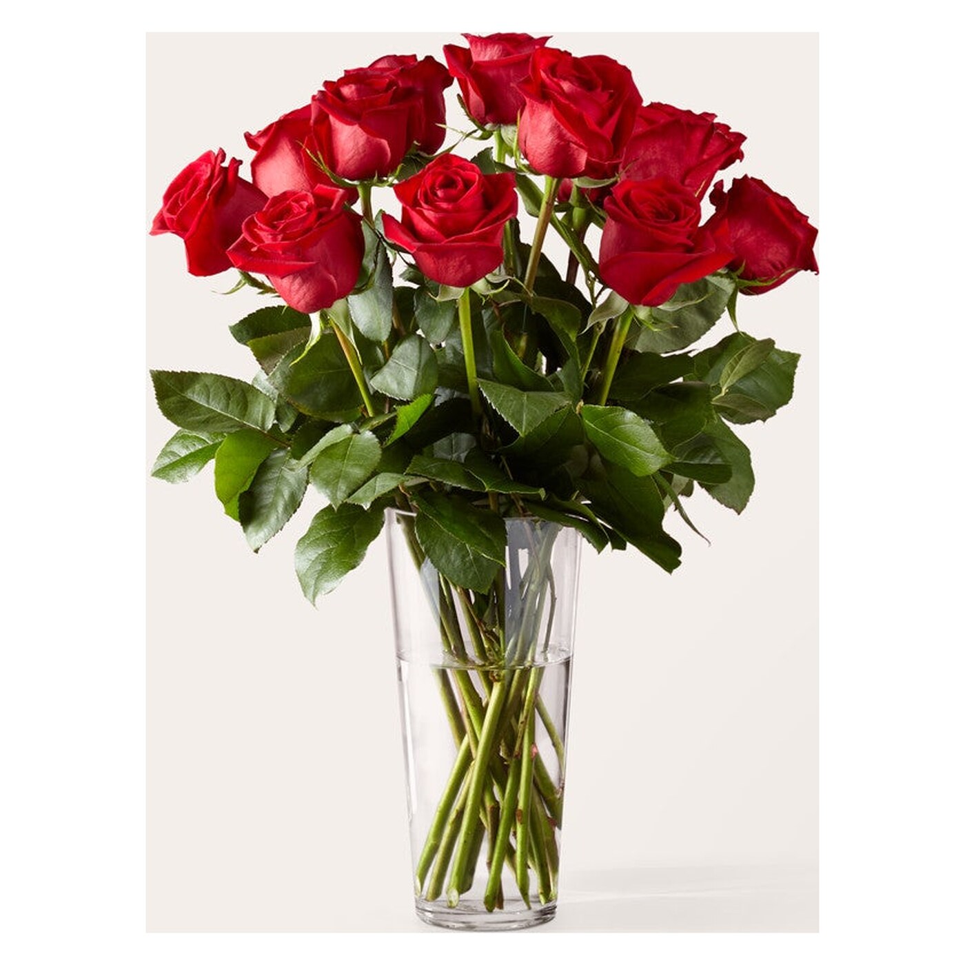 Fresh flowers flower collection