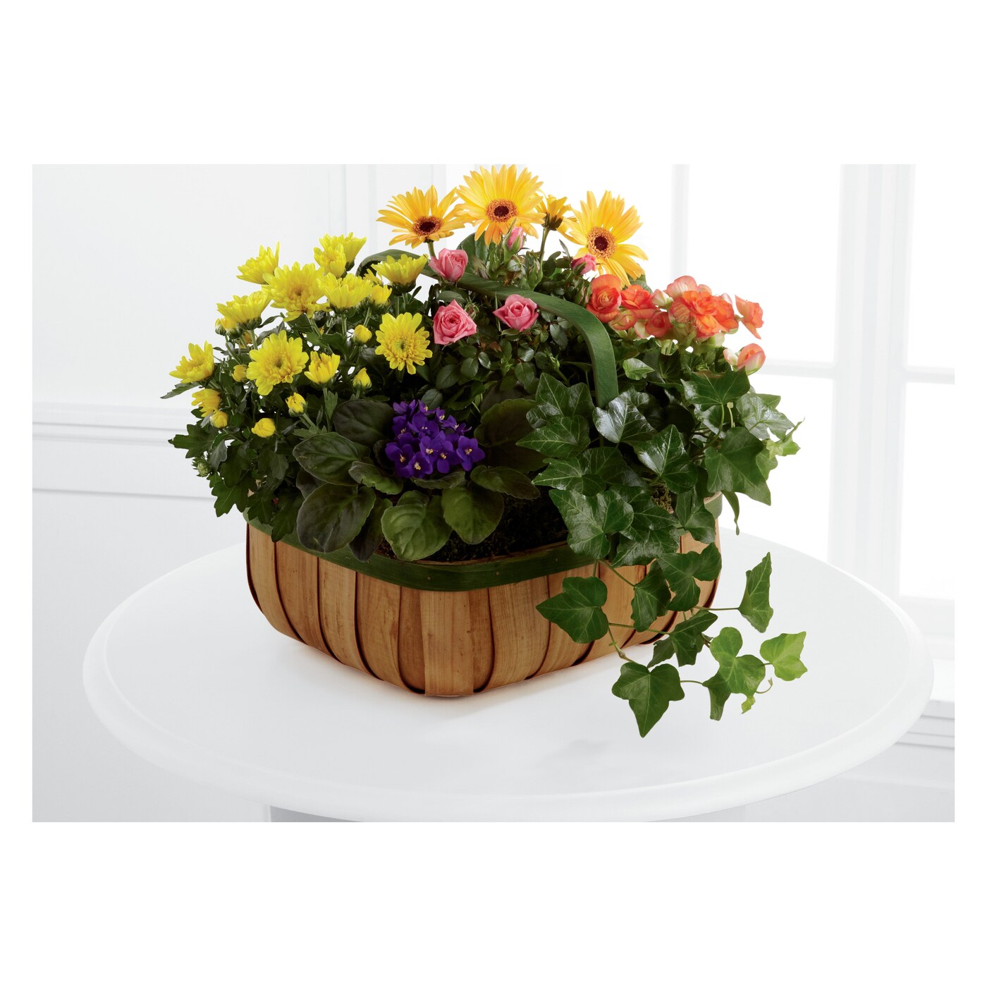 Fresh flowers flower collection