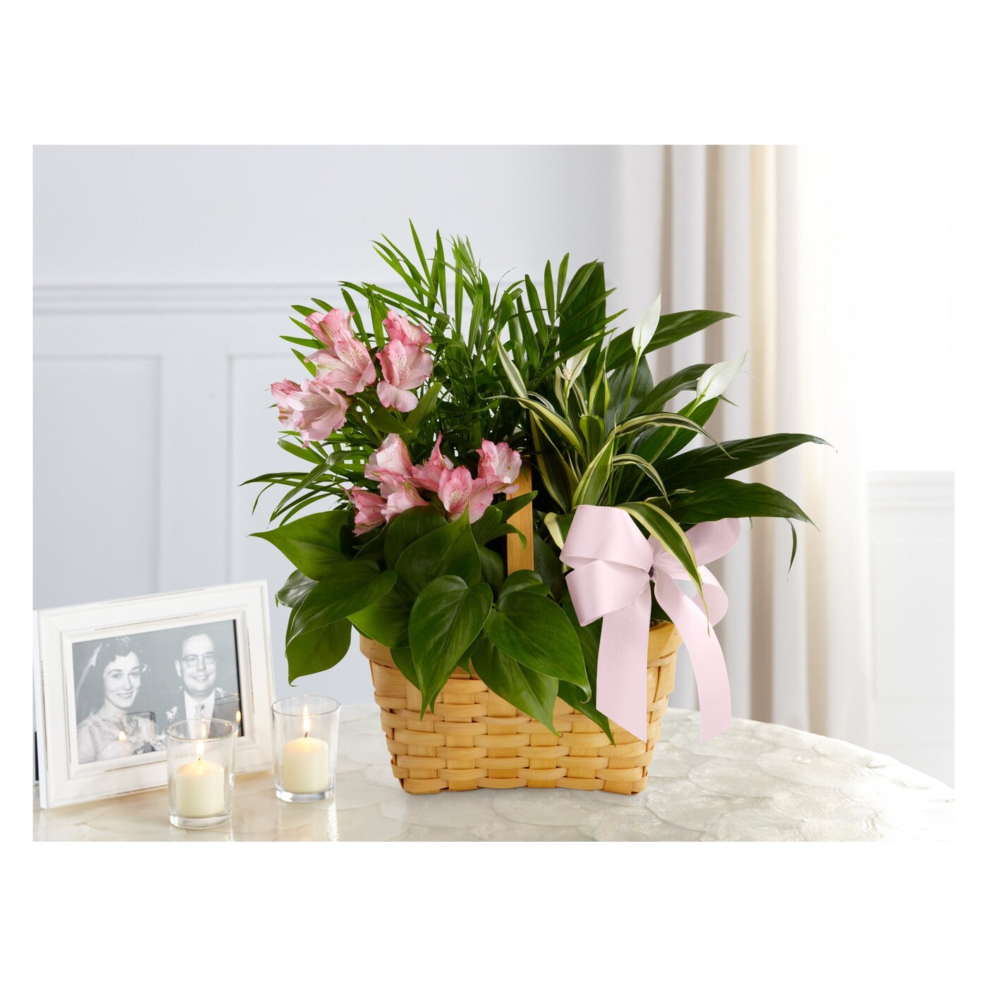 Living Spirit Dishgarden flower arrangement